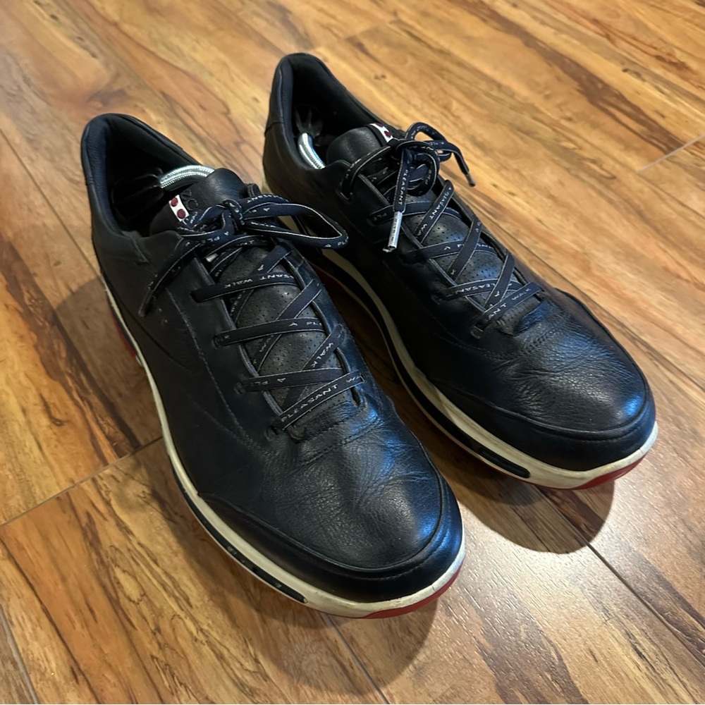 Ecco Biom Golf Shoes
